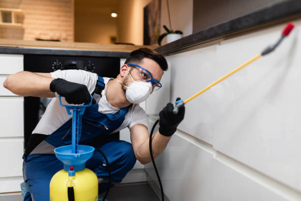Best Pest Removal Services  in Ault, CO