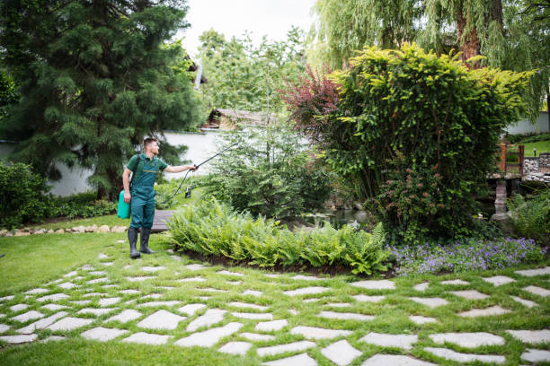 Best Affordable Pest Control Services  in Ault, CO